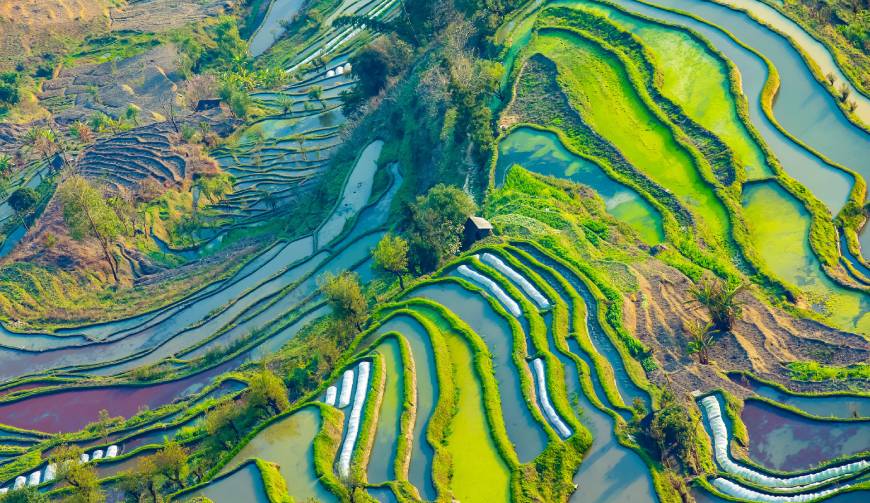 宝妈必备神器：蔡甸区产品视频拍摄轻松育儿好帮手