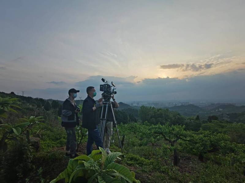 创意破圈！蔡甸区电商产品宣传视频用故事化叙事引爆流量