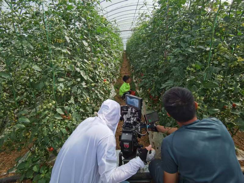 蔡甸区产品宣传视频拍摄公司进阶指南，助力品牌抢占传播高地